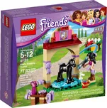 LEGO Friends 41123 Mytí hříbátka