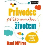Průvodce přítomným životem: Jak využít…