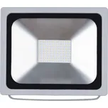 Emos Profi 50 W ZS2640