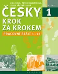 Česky krok za krokem 1: Pracovní sešit…