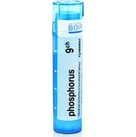Boiron Phosphorus 9CH 4 g