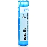 Boiron Pulsatilla 9CH 4 g