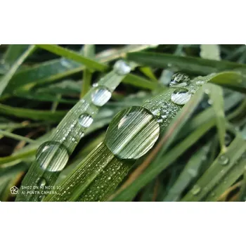 Xiaomi Mi Note 10 teleobjektiv