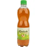STEVIKOM Kombucha Bio zázvor s limetkou…