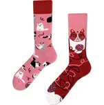 Many Mornings Playful Cat 39-42