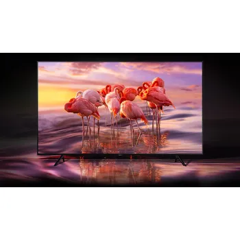 Samsung QE65Q70R plameňáci