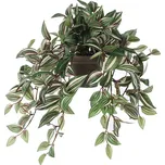 Mica Decorations Tradescantia poděnka…