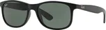 Ray-Ban Andy RB4202