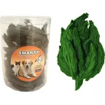 Smarty Denta lístečky 40 ks