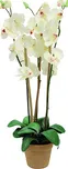 EuroPalms Orchidej bílá 80 cm