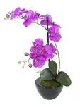 Europalms orchidej fialová 45 cm