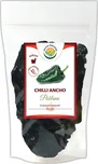 Salvia Paradise Chilli Ancho