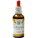 Salvia Paradise Ženšen pravý 6letý AF…