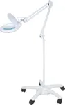 Tipa 8066D2 SMD