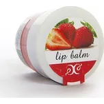 Hristina Přírodní balzám na rty jahoda…