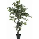 EuroPalms Fíkus lesní 110 cm