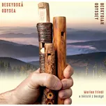 Beskydská odysea - Marian Friedl,…