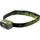 GP Batteries Discovery CH33