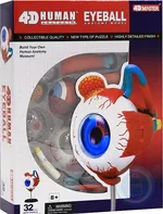 4D Master Anatomie člověka oko