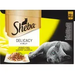Sheba Delicacy Adult kapsička drůbeží…