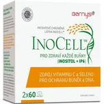 Barny's InoCell