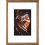 Hama Phoenix 13 x 18 cm hnědý