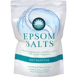 Elysium Spa Epsom Salts eukalyptus 450 g