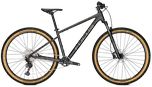 Focus Bikes Whistler 3.9 29" Diamond…