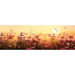 DIMEX KI-180-130 180 x 60 cm