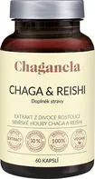 Chaganela Extrakt Chaga&Reishi