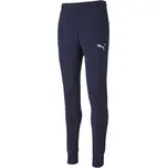 PUMA teamGOAL 23 656582-06