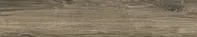 Dom Logwood Taupe DLO1660 16,4 x 99,8 cm mat 
