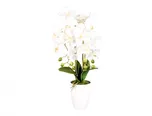Nohel Garden Orchidej umělá v květníku…