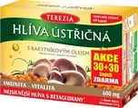 Terezia Company Hlíva ústřičná s…