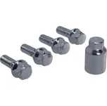 AutoMax 7824 bezpečnostní šrouby