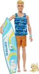 Mattel Barbie Ken HPT50 surfař