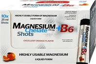 Salutem Pharma Magnesium Chelate + B6 pomeranč 10x 25 ml