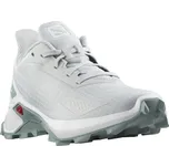 Salomon Alphacross Blast J L47118300