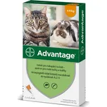 Bayer Advantage Spot-on pro kočky 40 mg