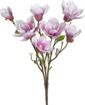 Canea 272CAN20-8_02 větev magnolie 57…