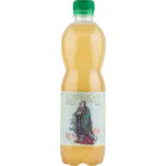 STEVIKOM Kombucha Bio zelený čaj 500 ml