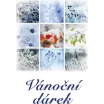 Vánoční dárek - Akcent (2018, pevná)