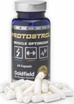 Goldfield Turbo Protostrol 60 cps.