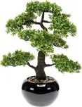 Emerald Umělý fíkus mini bonsai 47 cm…