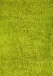 Efor Shaggy kusový koberec 1903 zelený…