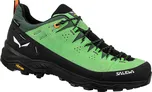 Salewa Alp Trainer 2 GTX 61400-5660