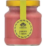Včelařství Domovina Jahody v medu