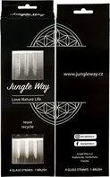 Jungle Way Skleněná brčka s čistícím kartáčkem