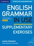 English Grammar in Use: Supplementary…