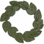 WIDMANN Vavřínový věnec zelený